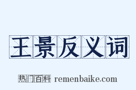 王景反义词是什么意思的图片